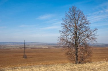 Bahar manzara. enerji sütun bahar alan üzerine. engebeli arazi. ağaçların yaprakları olmadan. . Son kar.
