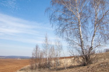 Bahar manzara. Taze sürülmüş alan. engebeli arazi. ağaçların yaprakları olmadan. Çok renkli bahar ağaçları. Geçen yılki kış kar kalan. Son kar.