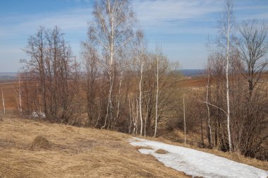 Bahar manzara. Taze sürülmüş alan. engebeli arazi. ağaçların yaprakları olmadan. Çok renkli bahar ağaçları. Geçen yılki kış kar kalan. Son kar.