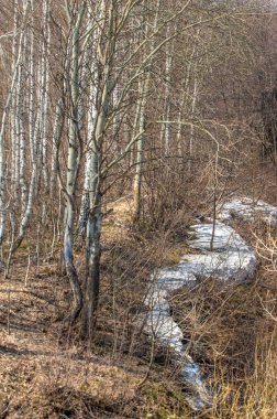 Bahar manzara. Taze sürülmüş alan. engebeli arazi. ağaçların yaprakları olmadan. Çok renkli bahar ağaçları. Geçen yılki kış kar kalan. Son kar.