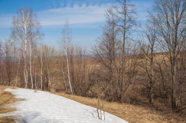 Bahar manzara. bahar alanında son kar. engebeli arazi. ağaçların yaprakları olmadan. ilk sıcak günleridir