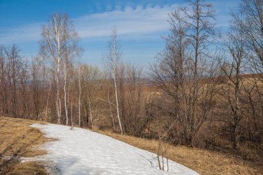 Bahar manzara. bahar alanında son kar. engebeli arazi. ağaçların yaprakları olmadan. ilk sıcak günleridir