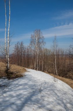 Bahar manzara. bahar alanında son kar. engebeli arazi. ağaçların yaprakları olmadan. ilk sıcak günleridir