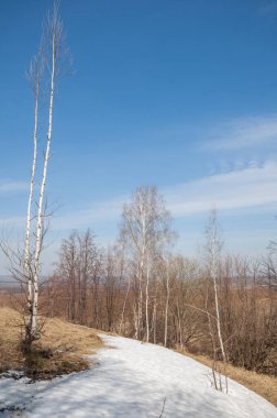 Bahar manzara. bahar alanında son kar. engebeli arazi. ağaçların yaprakları olmadan. ilk sıcak günleridir