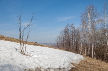 Bahar manzara. bahar alanında son kar. engebeli arazi. ağaçların yaprakları olmadan. ilk sıcak günleridir