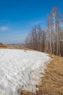 Bahar manzara. bahar alanında son kar. engebeli arazi. ağaçların yaprakları olmadan. ilk sıcak günleridir