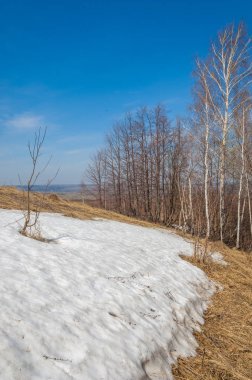 Bahar manzara. bahar alanında son kar. engebeli arazi. ağaçların yaprakları olmadan. ilk sıcak günleridir