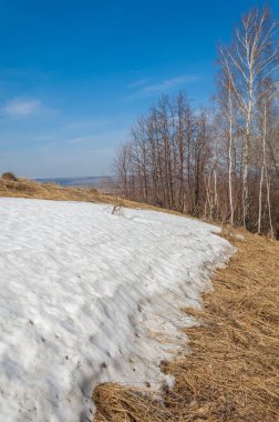 Bahar manzara. bahar alanında son kar. engebeli arazi. ağaçların yaprakları olmadan. ilk sıcak günleridir