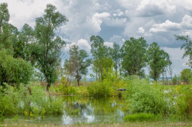 sel suları bastığında. bir sel sonucu olarak taşan su. Yüksek kaynak suyu. Baharın başlangıcı nehrinde güneşli bir günde. Bulutlar cennet. Bahar manzara. Bahar geliyor.