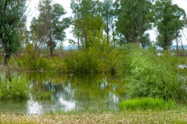 sel suları bastığında. bir sel sonucu olarak taşan su. Yüksek kaynak suyu. Baharın başlangıcı nehrinde güneşli bir günde. Bulutlar cennet. Bahar manzara. Bahar geliyor.