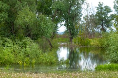 sel suları bastığında. bir sel sonucu olarak taşan su. Yüksek kaynak suyu. Baharın başlangıcı nehrinde güneşli bir günde. Bulutlar cennet. Bahar manzara. Bahar geliyor.