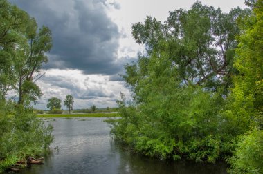 sel suları bastığında. bir sel sonucu olarak taşan su. Yüksek kaynak suyu. Baharın başlangıcı nehrinde güneşli bir günde. Bulutlar cennet. Bahar manzara. Bahar geliyor.