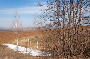 Bahar manzara. bahar alanında son kar. engebeli arazi. ağaçların yaprakları olmadan. ilk sıcak günleridir