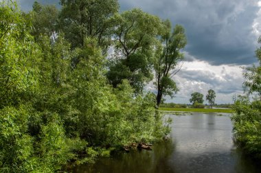 sel suları bastığında. bir sel sonucu olarak taşan su. Yüksek kaynak suyu. Baharın başlangıcı nehrinde güneşli bir günde. Bulutlar cennet. Bahar manzara. Bahar geliyor.