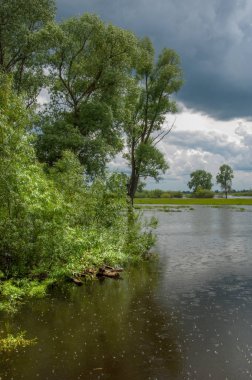 sel suları bastığında. bir sel sonucu olarak taşan su. Yüksek kaynak suyu. Baharın başlangıcı nehrinde güneşli bir günde. Bulutlar cennet. Bahar manzara. Bahar geliyor.