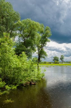 sel suları bastığında. bir sel sonucu olarak taşan su. Yüksek kaynak suyu. Baharın başlangıcı nehrinde güneşli bir günde. Bulutlar cennet. Bahar manzara. Bahar geliyor.