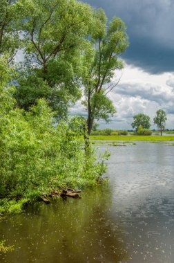 sel suları bastığında. bir sel sonucu olarak taşan su. Yüksek kaynak suyu. Baharın başlangıcı nehrinde güneşli bir günde. Bulutlar cennet. Bahar manzara. Bahar geliyor.
