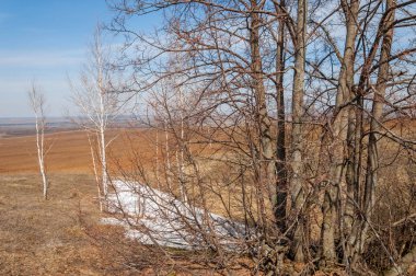 Bahar manzara. bahar alanında son kar. engebeli arazi. ağaçların yaprakları olmadan. ilk sıcak günleridir
