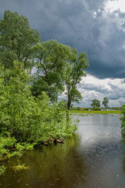 sel suları bastığında. bir sel sonucu olarak taşan su. Yüksek kaynak suyu. Baharın başlangıcı nehrinde güneşli bir günde. Bulutlar cennet. Bahar manzara. Bahar geliyor.