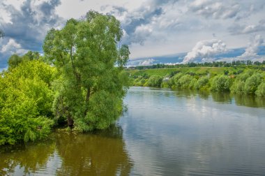 Sel. Doğal afet - sahilden kaynaklı su ile kara sel. Çalılar, ağaçlar su vardır. Sigorta yardımları alınmasından
