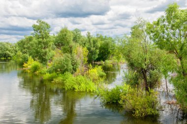 Sel. Doğal afet - sahilden kaynaklı su ile kara sel. Çalılar, ağaçlar su vardır. Sigorta yardımları alınmasından