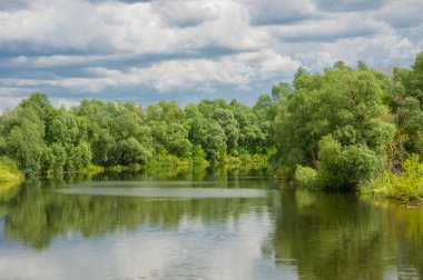 Sel. Doğal afet - sahilden kaynaklı su ile kara sel. Çalılar, ağaçlar su vardır. Sigorta yardımları alınmasından