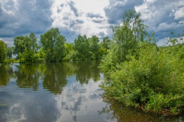 Sel. Doğal afet - sahilden kaynaklı su ile kara sel. Çalılar, ağaçlar su vardır. Sigorta yardımları alınmasından