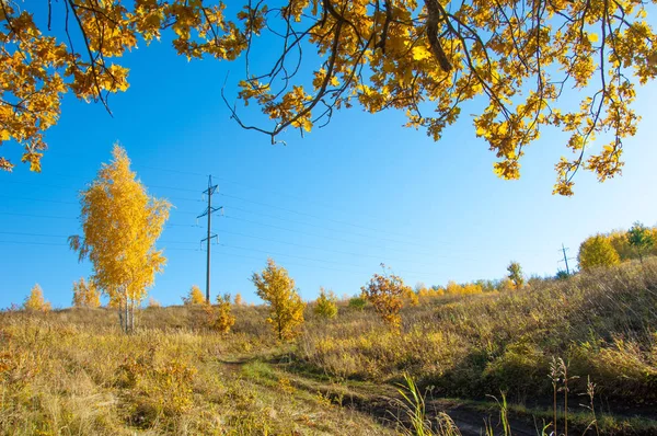 Sonbahar sahneleri. Energo. Yeşil enerji, enerji santrali, yakın yüksek voltajlı güç hatları kavramı. Güç Dağıtım İstasyonu. yüksek voltajlı elektrik iletim bir pilon siluet kulenin.