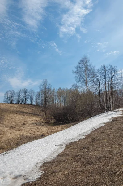 Bahar manzara. bahar alanında son kar. engebeli arazi. ağaçların yaprakları olmadan. ilk sıcak günleridir