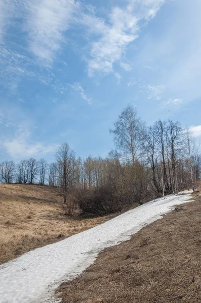 Bahar manzara. bahar alanında son kar. engebeli arazi. ağaçların yaprakları olmadan. ilk sıcak günleridir