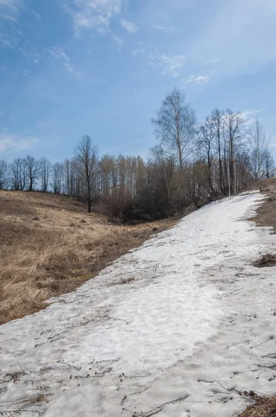 Bahar manzara. bahar alanında son kar. engebeli arazi. ağaçların yaprakları olmadan. ilk sıcak günleridir