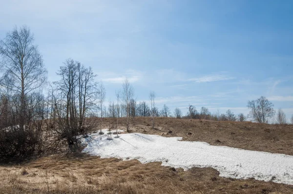 Bahar manzara. bahar alanında son kar. engebeli arazi. ağaçların yaprakları olmadan. ilk sıcak günleridir