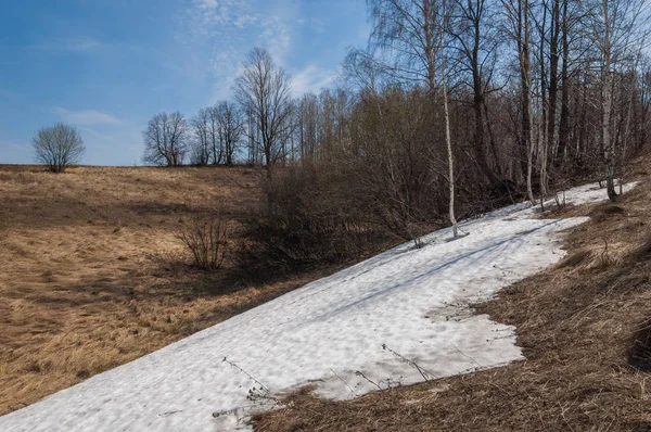 Bahar manzara. bahar alanında son kar. engebeli arazi. ağaçların yaprakları olmadan. ilk sıcak günleridir