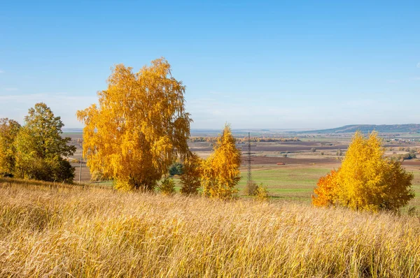 Sonbahar manzara, ağaç meşe akçaağaç sonbahar renkleri, eski çim boyanmıştı. Güzel renkli sonbahar yaprakları yeşil, sarı, turuncu, kırmızı topluluğu