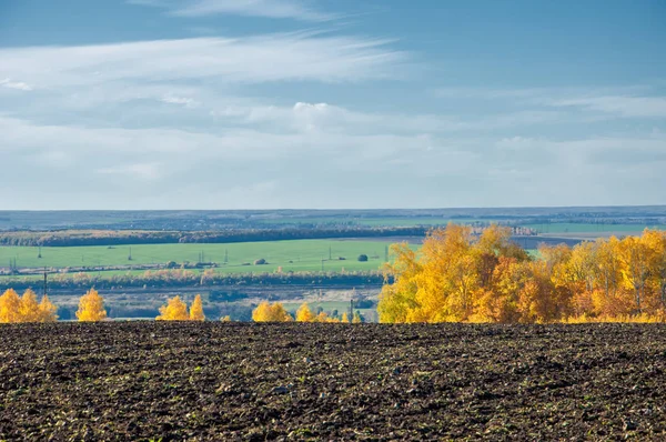 Höstlandskap Fält Plöjning Bakgrunden Höst Träd Färgglada Träd Gul Gyllene — Stockfoto