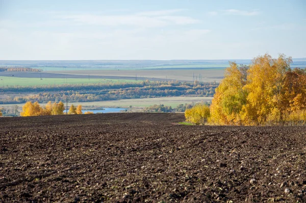 Höstlandskap Fält Plöjning Bakgrunden Höst Träd Färgglada Träd Gul Gyllene — Stockfoto