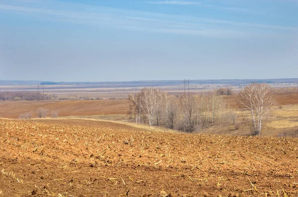 Bahar manzara. Taze sürülmüş alan. engebeli arazi. ağaçların yaprakları olmadan. Çok renkli bahar ağaçları. Geçen yılki kış kar kalan. Son kar.
