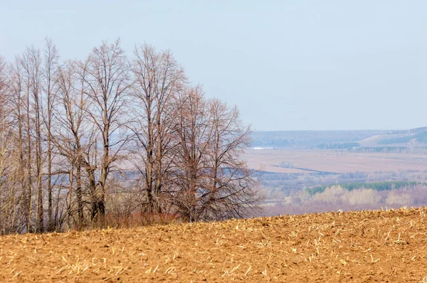 Bahar manzara. Taze sürülmüş alan. engebeli arazi. ağaçların yaprakları olmadan. Çok renkli bahar ağaçları. Geçen yılki kış kar kalan. Son kar.