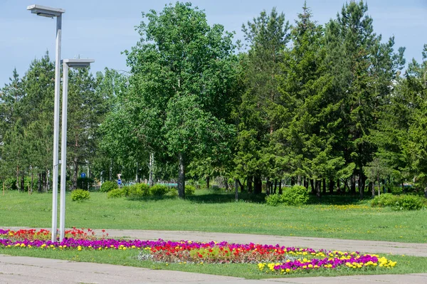 Wiosenne Krajobrazy Miejskie Parki Miejskie Zielona Trawa Pole Big City — Zdjęcie stockowe