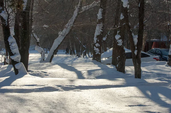テクスチャ パターン 雪の上の足跡 霜は非常に寒いです 地面に白い雪の毛布 大気水蒸気氷結晶でフリーズして光の白いフレークに落ちる — ストック写真