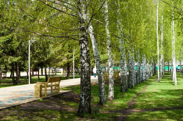 Tekstura Tło Obrazu Wiosna Miejskiego Krajobrazu Miejskiego City Park Rekreacyjny — Zdjęcie stockowe