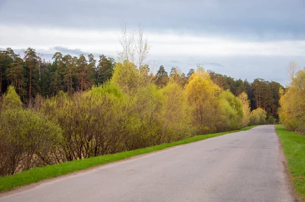 Bahar peyzaj, gündoğumu gündoğumu. Köy yolunda, bir yol ile kırsal manzara.
