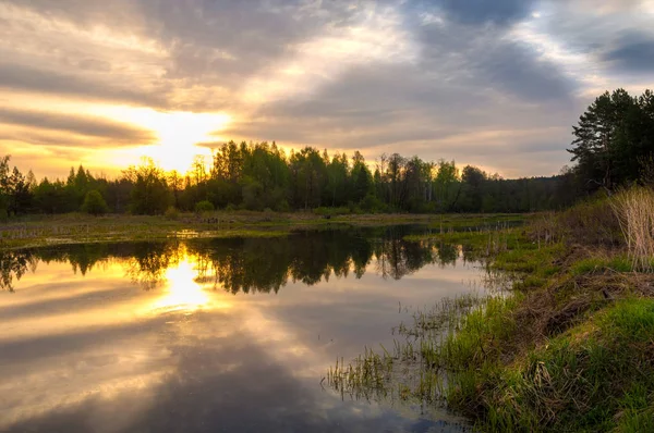 Bahar catering. Bir güzel bahar yatay bir bataklık, gündoğumu. Yeşil orman ve bulutlu gökyüzü bulutlu. Açık havada doğal çevre kavramı.