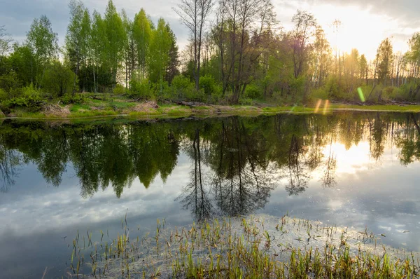 Bahar manzara. Bir güzel bahar yatay bir bataklık, gündoğumu. Yeşil orman ve bulutlu gökyüzü bulutlu. Açık havada doğal çevre kavramı.