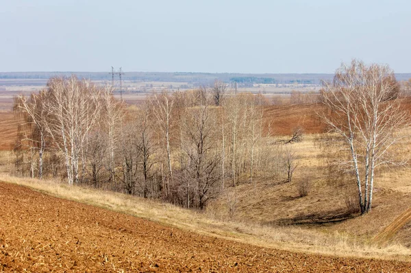 Paisagem Primavera Campo Recém Lavrado Terreno Acidentado Árvores Sem Folhas — Fotografia de Stock