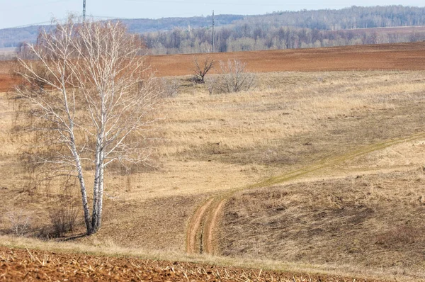 Bahar manzara. Taze sürülmüş alan. engebeli arazi. ağaçların yaprakları olmadan. Çok renkli bahar ağaçları. Geçen yılki kış kar kalan. Son kar.