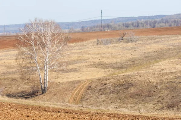 Bahar manzara. Taze sürülmüş alan. engebeli arazi. ağaçların yaprakları olmadan. Çok renkli bahar ağaçları. Geçen yılki kış kar kalan. Son kar.