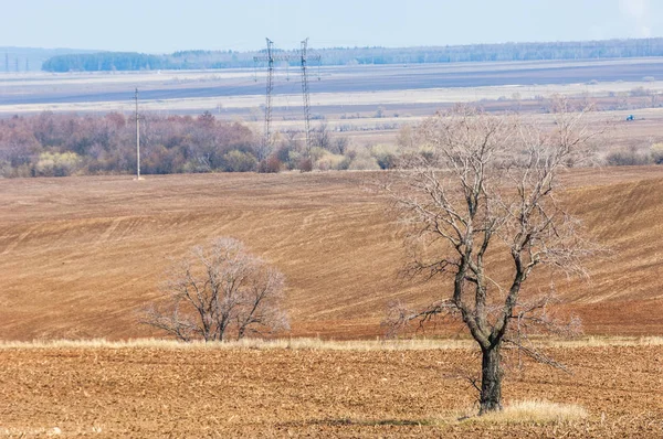 Bahar manzara. Taze sürülmüş alan. engebeli arazi. ağaçların yaprakları olmadan. Çok renkli bahar ağaçları. Geçen yılki kış kar kalan. Son kar.