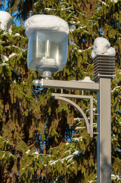 Winterlandschaft Auf Den Ästen Der Fichten Gibt Große Ansammlungen Von — Stockfoto