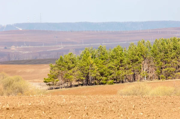 Våren Landskap Energi Pelare Fältet Våren Kuperad Terräng Träd Utan — Stockfoto